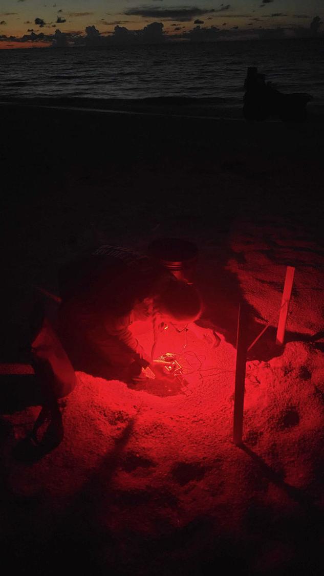 Nicole Flanders using a hydrophone to listen to nest activity. All activities in these photos were performed under permission from FWC MTPs 216 and 226.